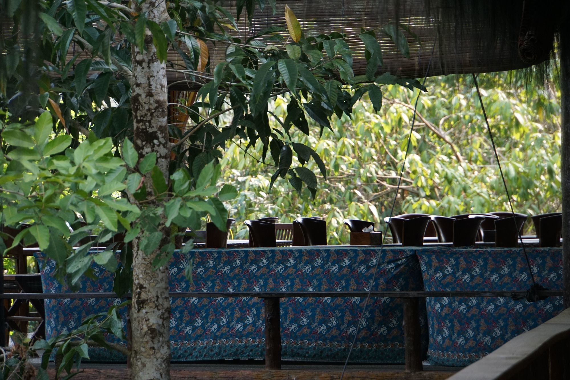 Samboja Lodge 발릭파판 외부 사진